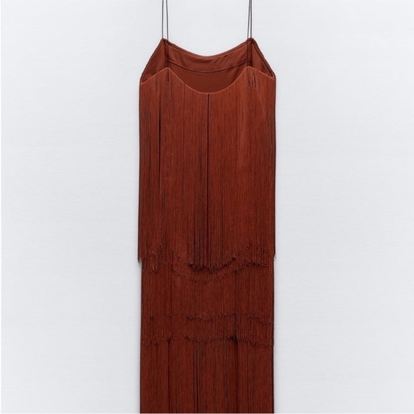 Zara Fringed Dress NWT - Picture 12 of 16